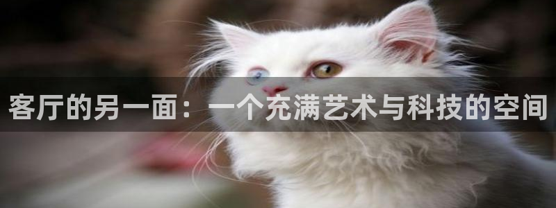 南瓜電影apk：客廳的另一面：一個充滿藝術(shù)與科技的空間